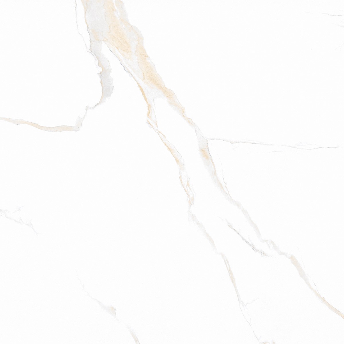 40x40 Classic Carrara Gold Floor