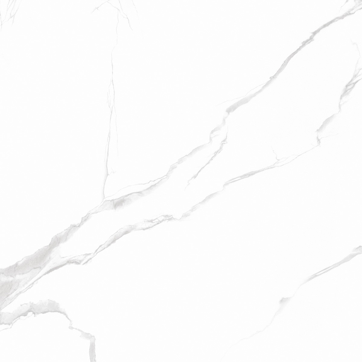 40x40 Classic Carrara Gray Floor